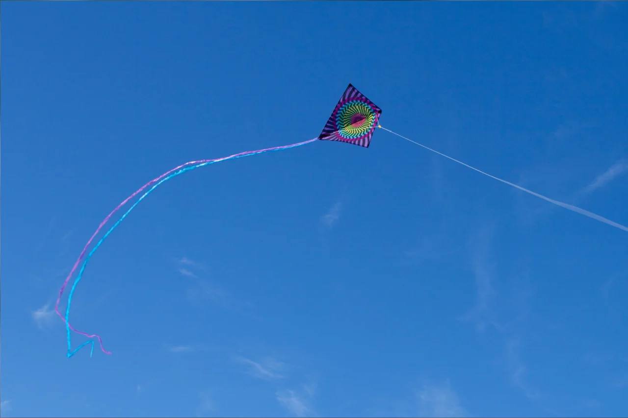 Heloisa L 80
