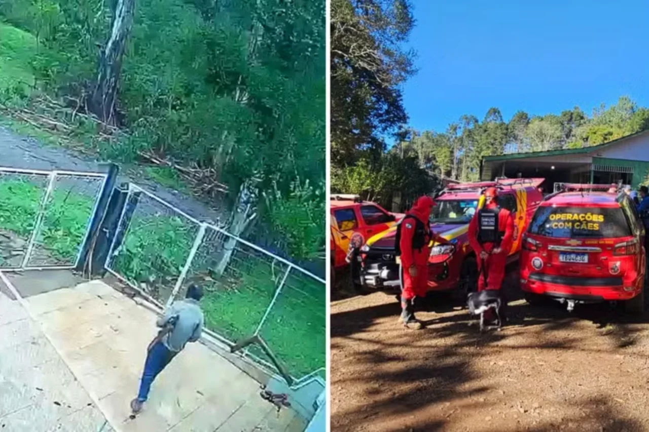 Idoso de 83 anos desaparece após sair para colher pinhão e é encontrado morto, no Paraná 9 Idoso de 83 anos desaparece após sair para colher pinhão e é encontrado morto, no Paraná