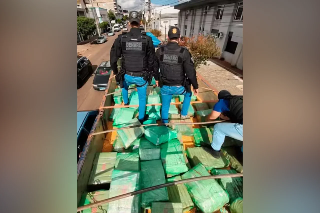 Polícia apreende quase 2,4 toneladas de maconha escondidas em carga de milho no Paraná 3 Polícia apreende quase 2,4 toneladas de maconha escondidas em carga de milho no Paraná