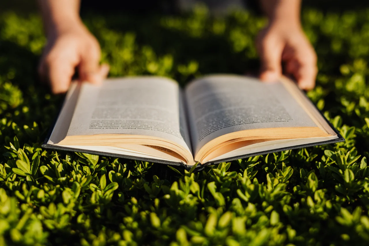 7 livros que viraram febre mundial e hoje também rendem memes
