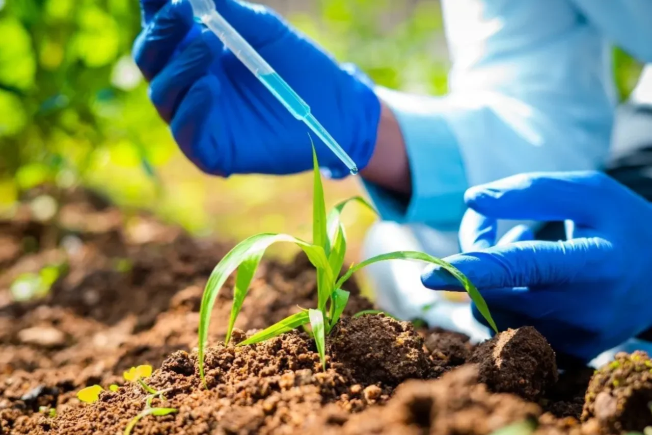 Mercado de fertilizantes especiais e biofertilizantes registra queda de 5,5% no faturamento em 2025