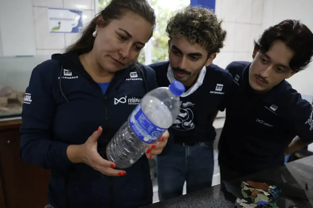 Estudo identifica microplásticos em mais de 93% dos peixes analisados no litoral do Paraná