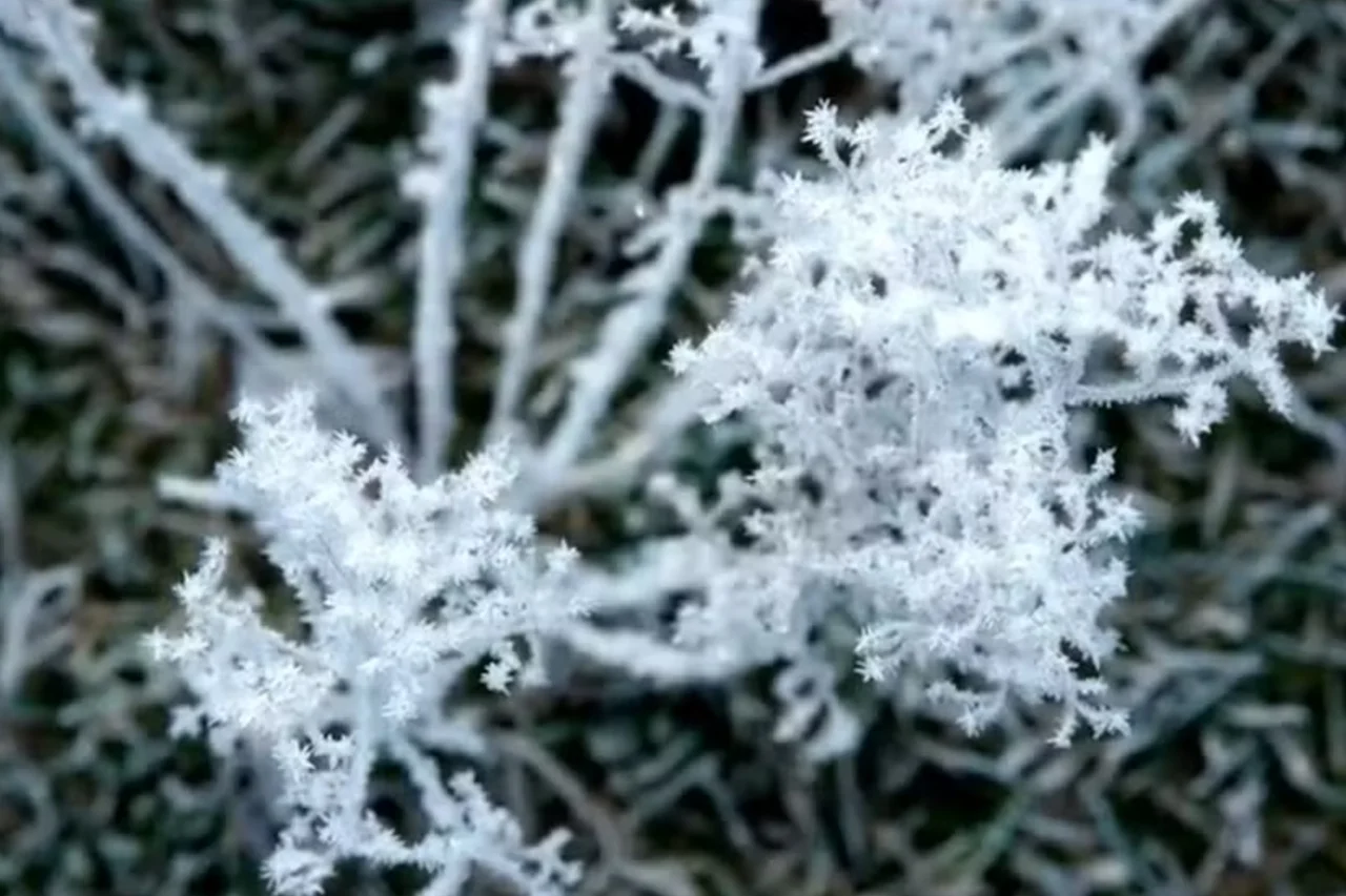 Fotógrafos enfrentam frio extremo para registrar geada na Serra Catarinense 3 Heloisa L 2026 06 29T103627.374