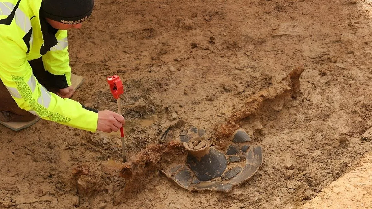 celtic warrior burial with chariot 1