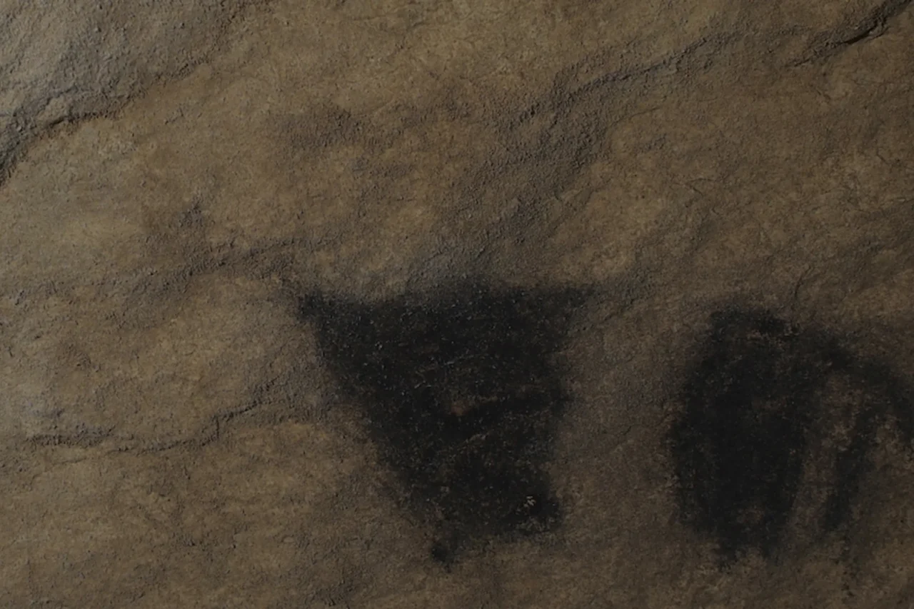 Caverna na Espanha revela arte rupestre preservada e visitas humanas por mais de 11 mil anos