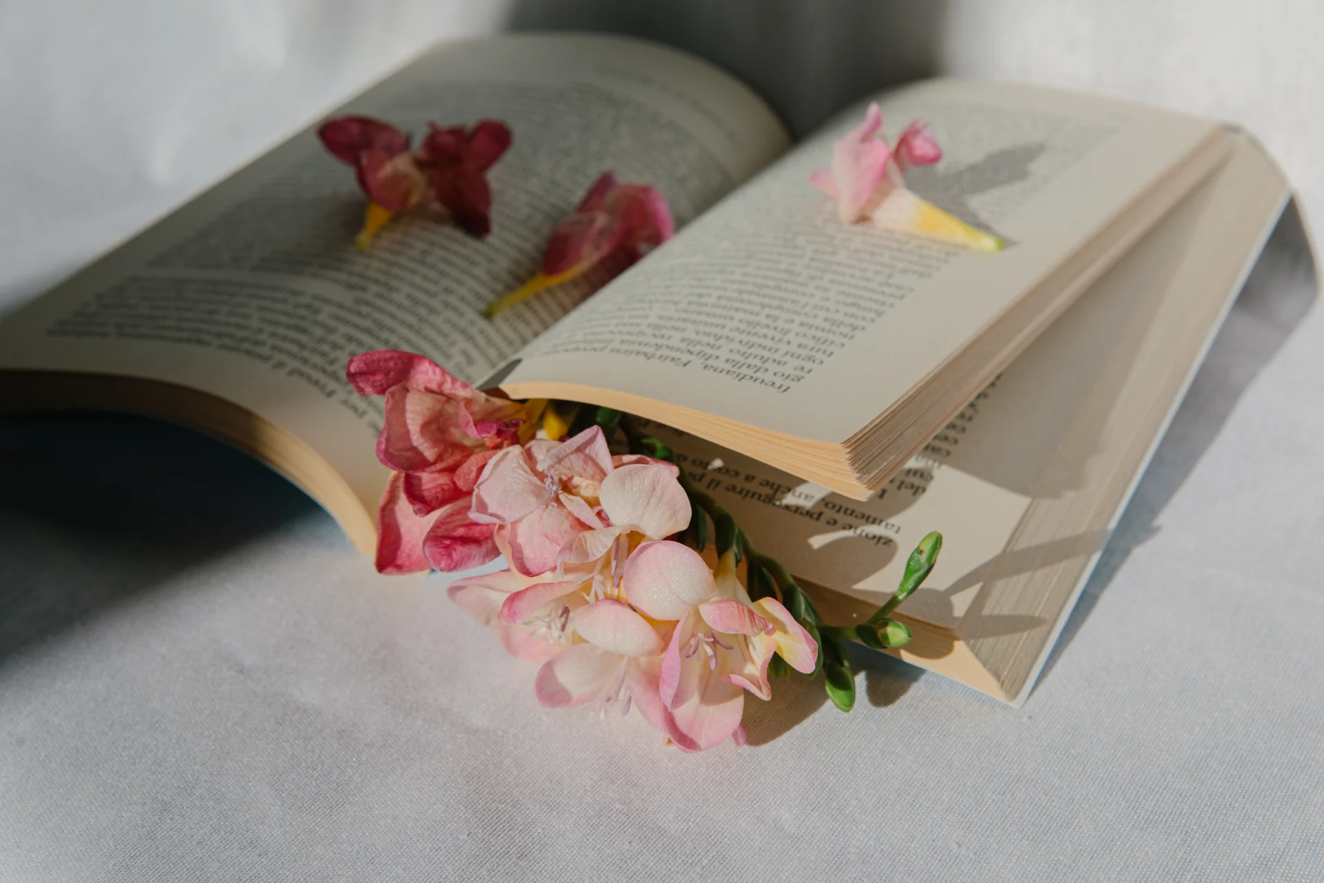 De Jane Austen a Carolina Maria de Jesus: livros escritos por mulheres que todos deveriam ler