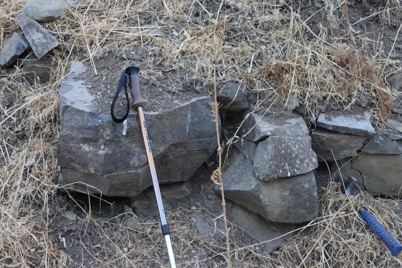 Ferramentas de quase 800 mil anos indicam planejamento técnico de hominídeos em Israel 1 Ferramentas de quase 800 mil anos indicam planejamento técnico de hominídeos em Israel