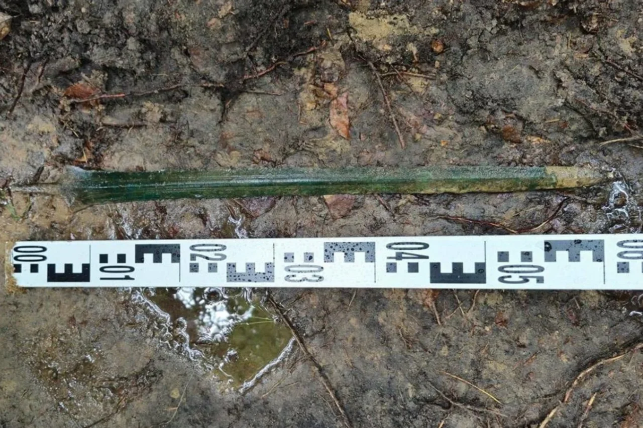 Espada de bronze de cerca de 2.700 anos é encontrada ereta em floresta perto de Gdańsk e pode ser oferta ritual