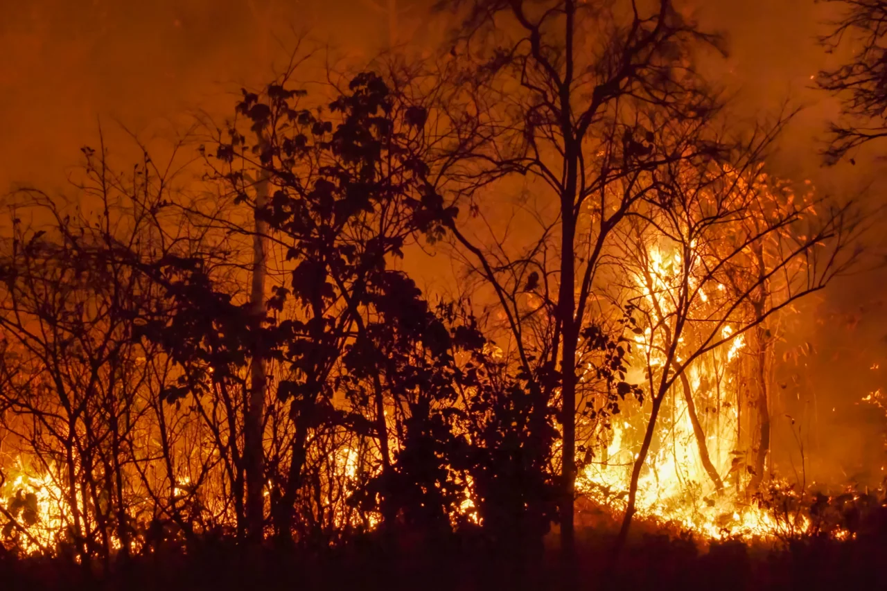 Queimadas aumentam 87,5% em maio no Acre, aponta Inpe 1 Acre registrou 15 focos de queimadas em maio, alta de 87,5% em relação ao mesmo mês do ano passado, segundo dados do Inpe