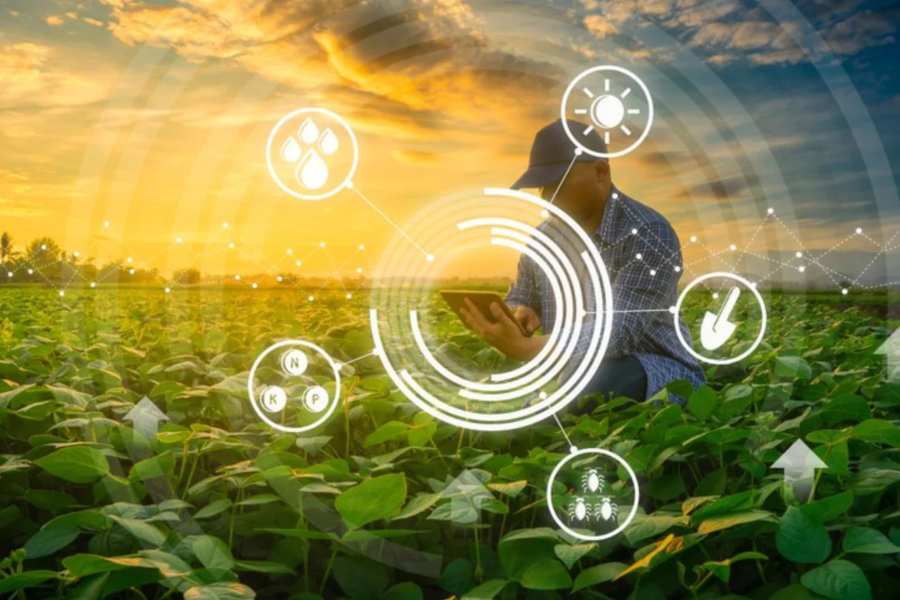 Plenário aprovou propostas que alteram a certificação sanitária da agroindústria familiar, criam programa de expansão da internet rural e tratam de imóveis públicos e proteção à infância em Santa Catarina