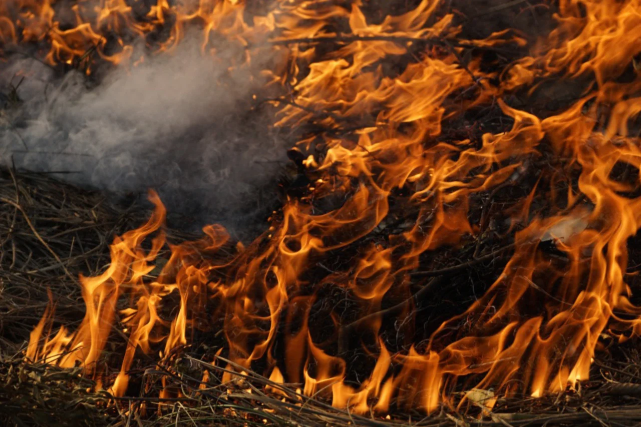 Soltar balões é crime e pode provocar incêndios, acidentes e interrupções de energia 3 Corpo de Bombeiros do Paraná alerta que fabricar, vender, transportar ou soltar balões é crime e pode causar incêndios, acidentes e danos à rede elétrica