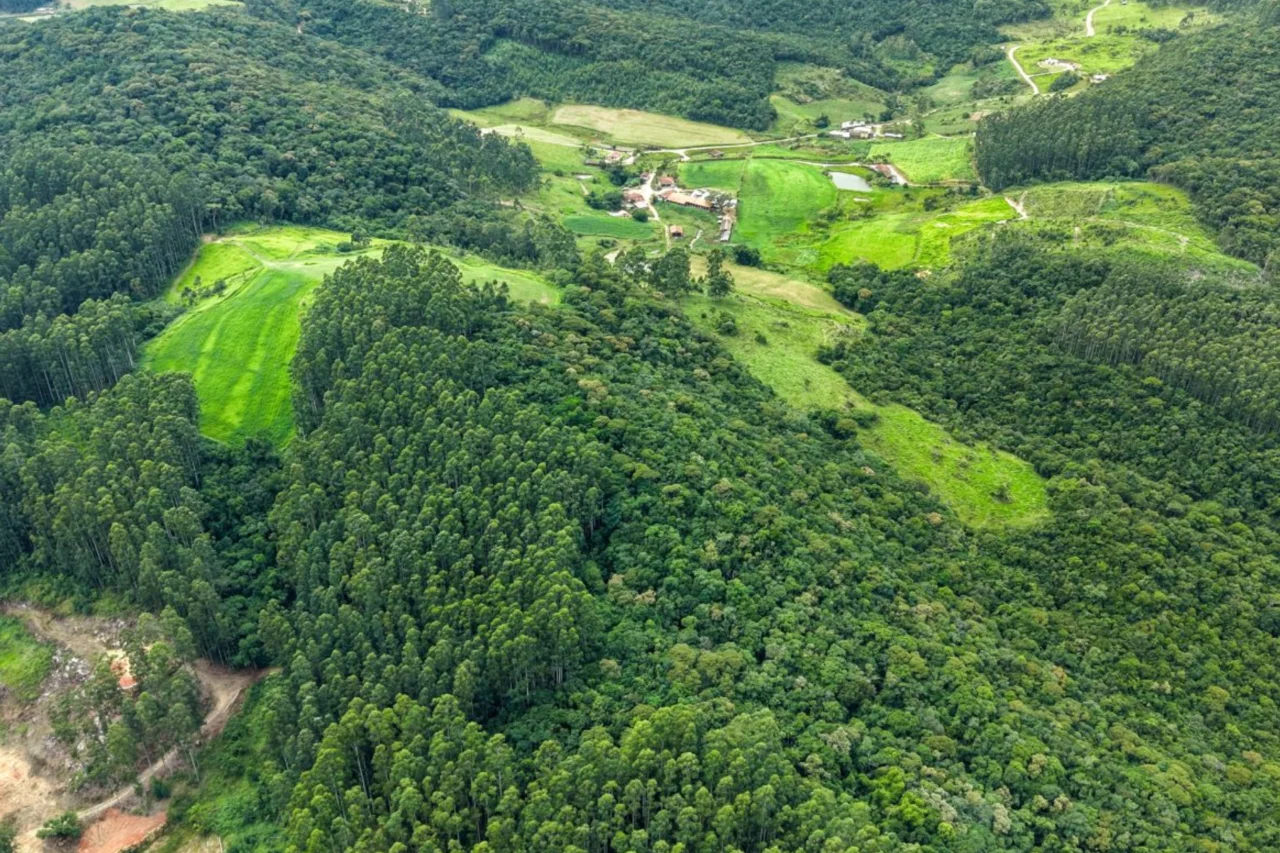 Santa Catarina abre inscrições para programa que paga produtores pela conservação de vegetação nativa 9 Santa Catarina abre inscrições para programa que paga produtores pela conservação de vegetação nativa