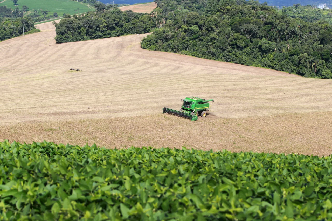 Dados preliminares do Deral mostram que o Valor Bruto da Produção agropecuária do Paraná passou de R$ 98 bilhões em 2019 para R$ 212,6 bilhões em 2025