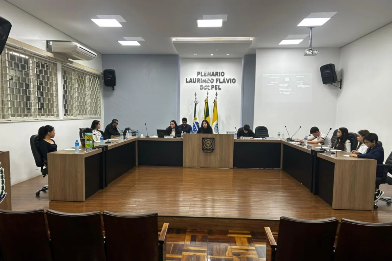 Parlamento Jovem realiza segunda sessão e leva demandas estudantis ao Executivo 4 Parlamento Jovem realiza segunda sessão e leva demandas estudantis ao Executivo